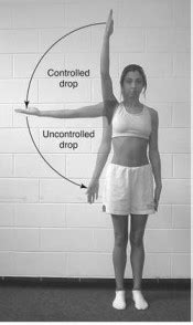 drop arm test shoulder|drop arm test interpretation.